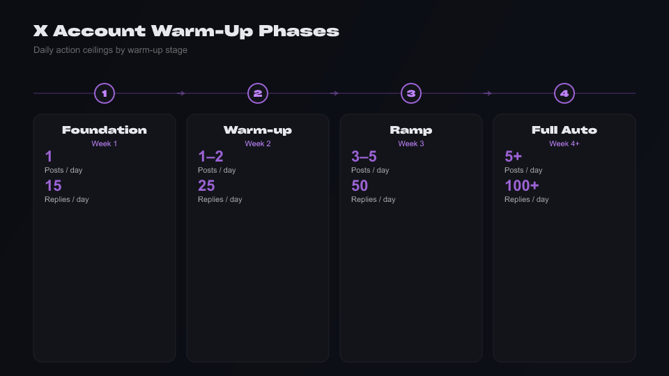 Infographic: X account warm-up phases showing daily caps for posts, replies, and DMs across four stages